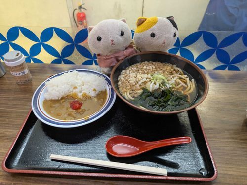 今日のお昼ご飯