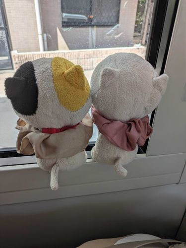 病院に付き添いニャン🐱