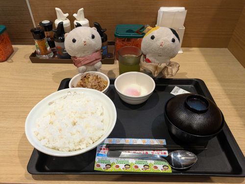 病院終わりのご飯ニャン