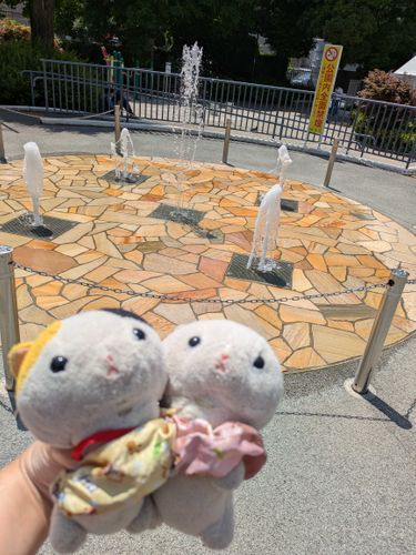 暑いから水浴びして遊びたいニャン