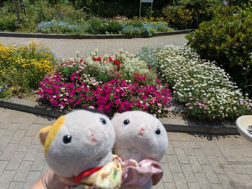 作業所で手入れしている花壇