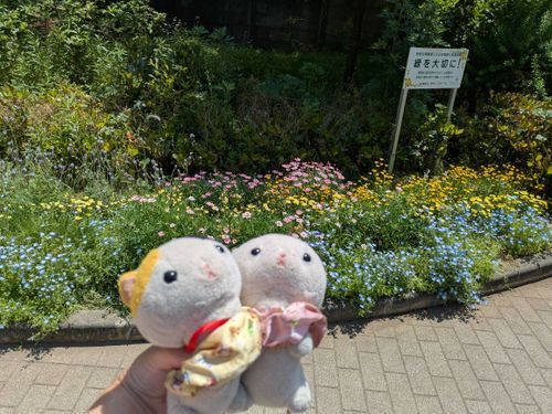 花壇後ろ