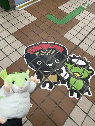 イワーテ