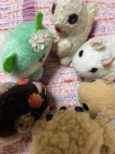 ちっちゃいぬいぐるみのお友達います。久しぶりにお話ししましたね。
