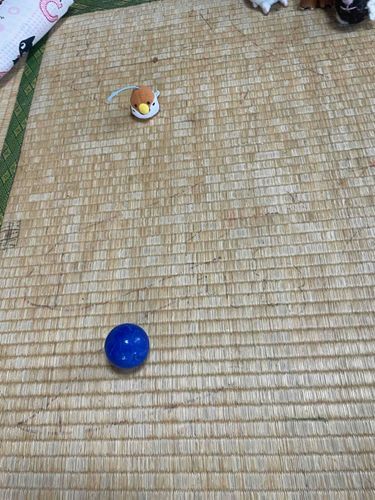 プチマルがんばれ。
