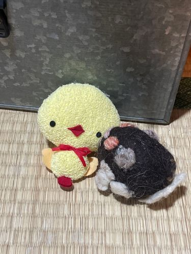 はじめましての方なんですが、すぐ仲良くなれました。
　