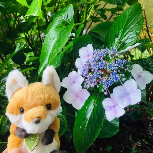 お散歩の続き。

今日は1日雨だね。みんな気をつけて☔️