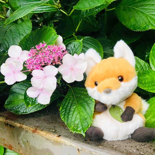 うふっ。僕ってピンクが似合うね♬