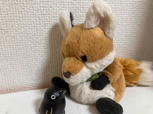 からすさんと、はじめまして。わが家のことを守ってくれるんだって。