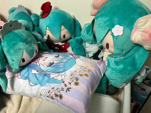 抱き枕好きね