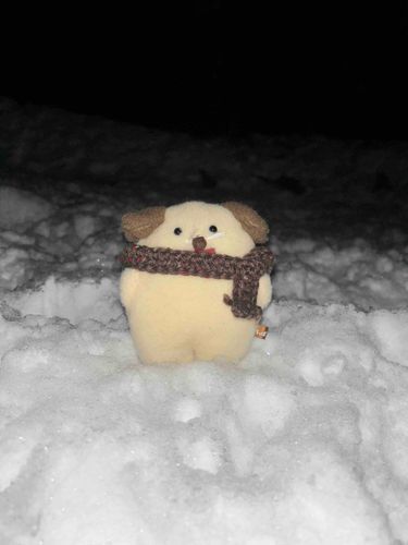 ⛄️