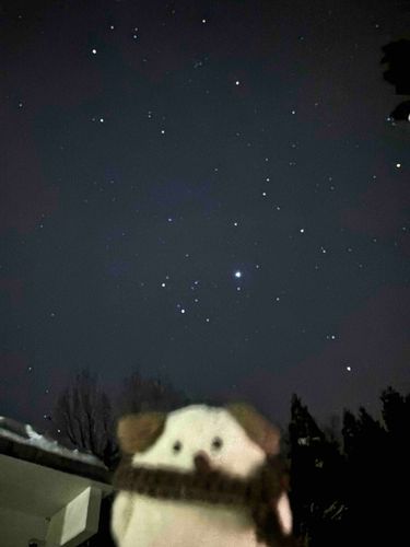 ☆。.:＊・゜