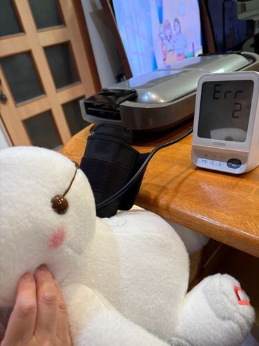これはベイマックスの血圧
自分の健康測るのは難しいみたい