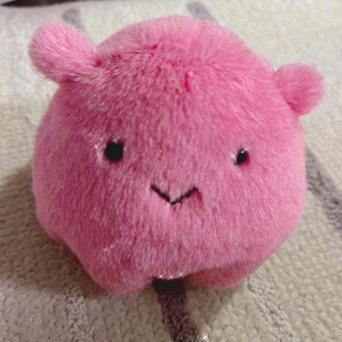 かわいいぴすたんだみょ