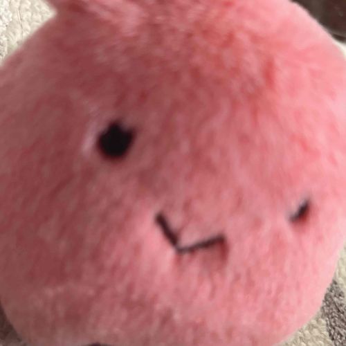 あいこんのために自撮りしたみょ