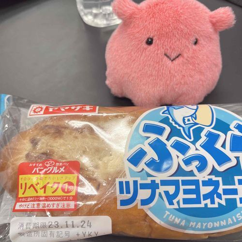 あさごはんはつなぱん
