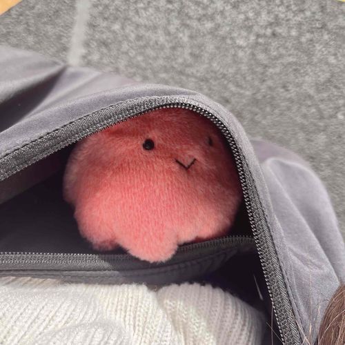 きょうはおでけけ！
にんげんのことみてるみょ