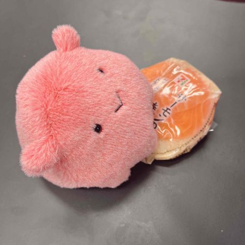 にんげんのエサつぶれてるみょ……( ；꒳； )