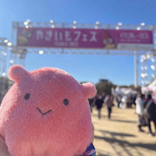 きた🍠