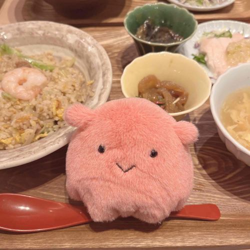 ちゃーはんたべたみょ