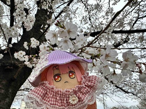 はるがきたな！
ねむたいし、ゆったりできるときにたくさんしよーな！