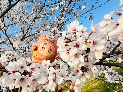 ミツさんとおはなのおもいで