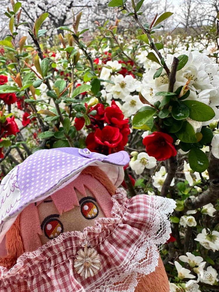 ミツさんとおはなのおもいで
