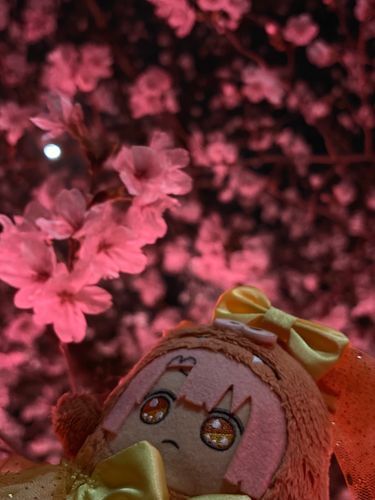 🌸