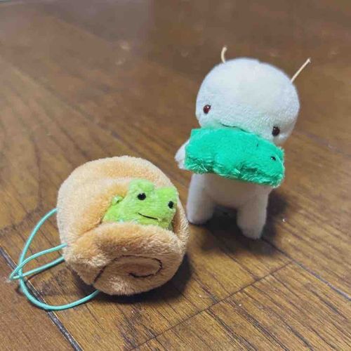 やぁ、はじめまして！
かたむつりのむっちだよ🐌
よろしくね🍀