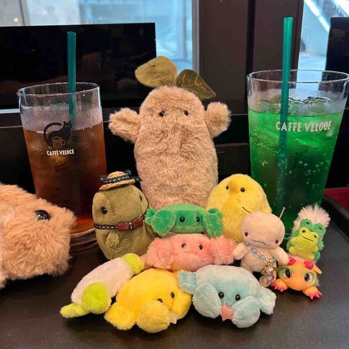 でざふぇすでおむかえしてきたよ
あつかったー！
