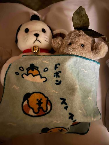 おとまりたのし
おやすみなさい💤🌙