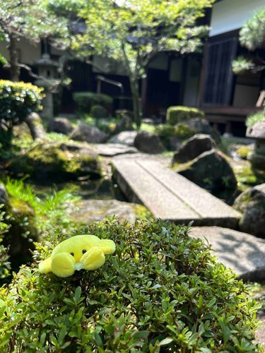 おにわだね