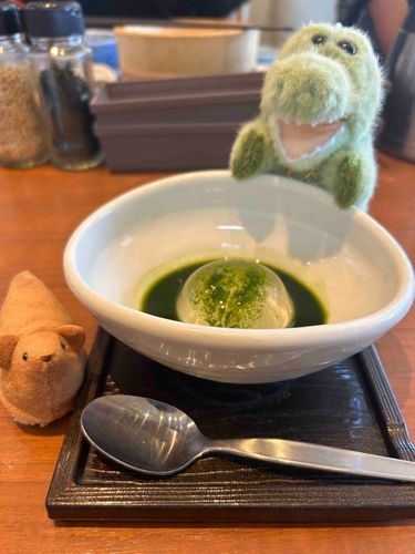 おまっちゃのみずわらびもち、ぷるんぷるんでおいしかったよ🍵