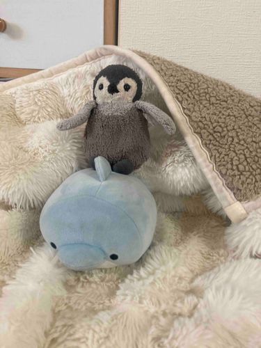 初めましてペンペンといるたです！！ふわもこ始めました！早速自己紹介するよまずペンペン僕は、ペンギンだよー好きな食べ物は、魚🐟だよ嫌いな食べ物は、ピーマンなんだよろしくね次は、いるただよ僕は、イルカ🐬だよ好きな食べ物は、氷🧊嫌いな食べ物は、ゴーヤだよよろしくねこれからたーくさんぺンぺンといるたの日常投稿するからぜひ見てねー！