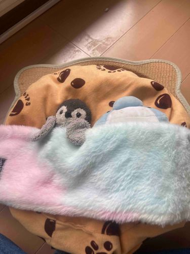 ふわぁ🥱ご飯食べたら眠くなってきちゃった日向でお昼寝でもしようかなあったかくてすぐ寝れそうおやすみ😴