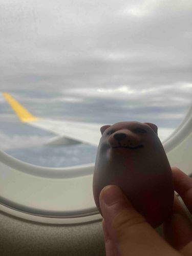 今日は、熊本旅行✈️飛行機に乗ったんだもくもくだな〜🌫️🌫️😶‍🌫️