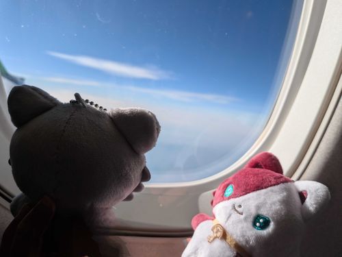 空旅たうん