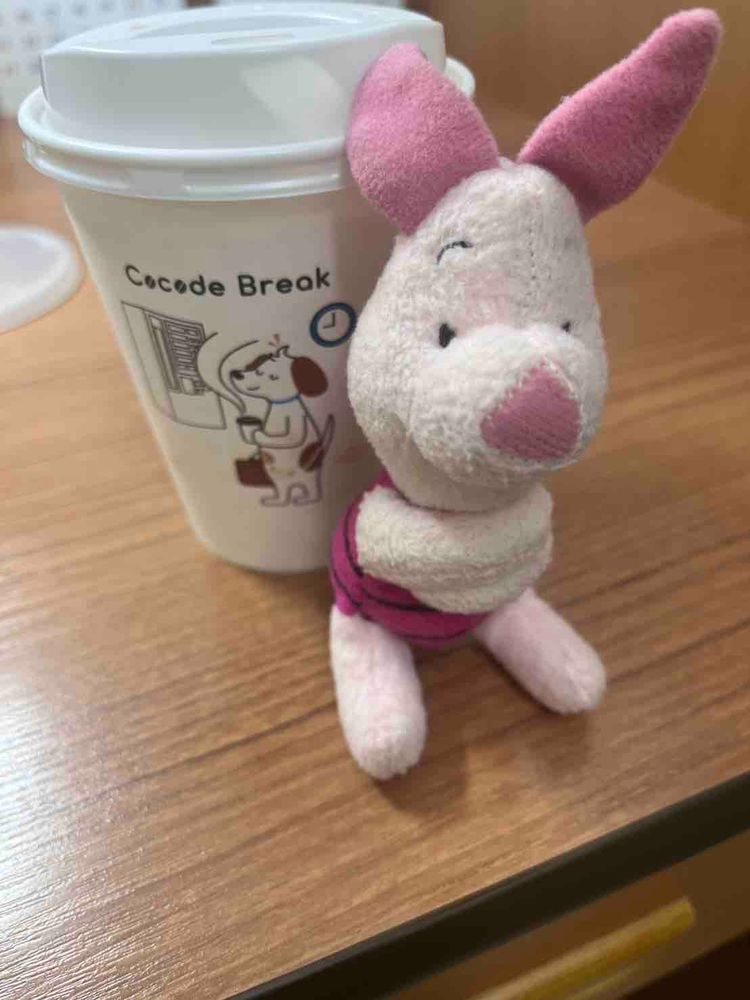 静岡での旅をのせるよ！