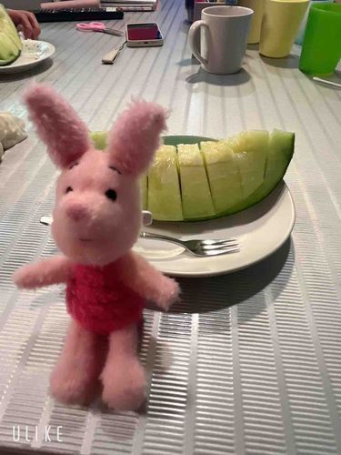 ふるさと納税のメロン🍈