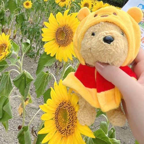 ひまわり🌻見に行ったよ!