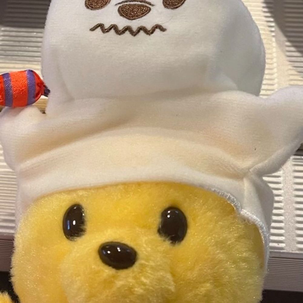 トリックオアトリート
先生にお菓子をもらったよ！
おばけぷーも一緒