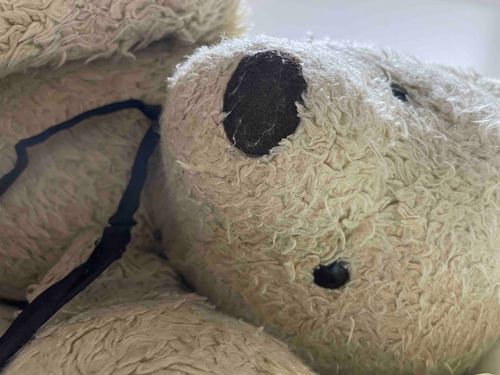 冷え込んだから寒がり屋の娘は疲れてるみたい
みんな暖かにするんだよぅ
Byくまちゃん