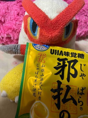 ご主人、これ好きシャモねぇ…そんなに美味しいシャ？
Byシャすけ
