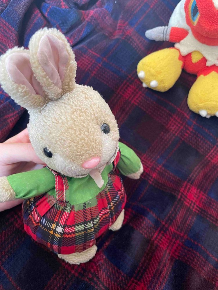 ミミー姐はミミロルに似てるシャモ
ご主人がメスのミミロル探し回って、やっと捕まえたミミロルにミミーって名前つけてたのは多分ミミー姐が元シャモね
Byシャすけ

ミミーに似たポケモンが居るのミ？
ねえねえ、そのポケモンは可愛いミか？
Byミミーちゃん