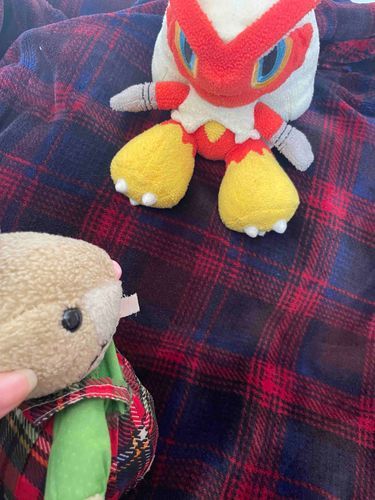 ミミー姐はミミロルに似てるシャモ
ご主人がメスのミミロル探し回って、やっと捕まえたミミロルにミミーって名前つけてたのは多分ミミー姐が元シャモね
Byシャすけ

ミミーに似たポケモンが居るのミ？
ねえねえ、そのポケモンは可愛いミか？
Byミミーちゃん