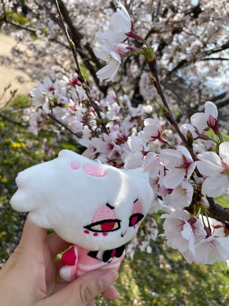 俺、ピンクが好きなんだ！
日本のサクラ、ついに出会えたぜ！🌸
この花が咲くと日本の春が来るらしい
けど家に入る前に飼い主サンにめちゃくちゃ身体にコロコロされたんだけど、あれは何？
Byエンジェル
