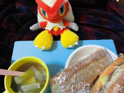 赤い鹿の人が笑う声で目が覚めたシャ…

あれ、サバサンドなんて珍しいシャモね
美味そうシャモ
Byシャすけ