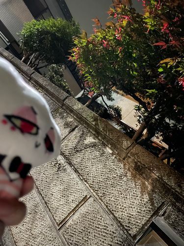 at2：15
見てみて、珍しいお花！
…と思ったら違うんだって
この赤いのはお花じゃなくて木の実だったみたい
日本にはこんな綺麗な木の実があるんだな
Byエンジェル