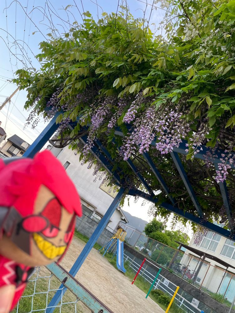 おや我が主よ！鬼の嫌う藤の花というのがこれデスね！
まあ私はオーガではなくデーモンなのでこの花の怖さは分かりまセンけど、美しい花であることは分かりマスヨ！
緑に映える柔らかな紫がヒジョーに素晴らしい！
Byアラスター