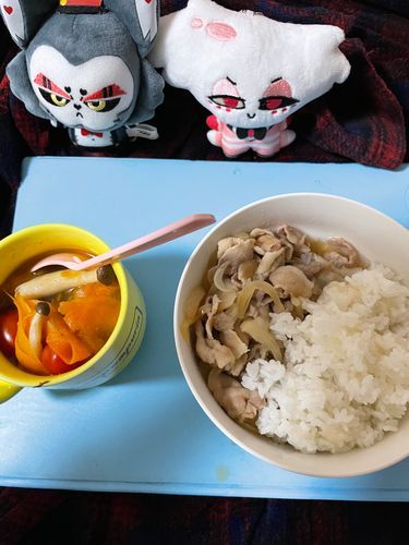 和食だー！
洋食とはまた違うあまじょっぱい味がするぜ！美味い！
Byエンジェル

コンソメかと思ったが、塩味のスープだな
人参とかぼちゃの色だったのか…
これは美味いな
Byハスク